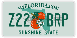 Z22BRP  license plate in FL