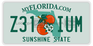 Z31IUM license plate in Florida