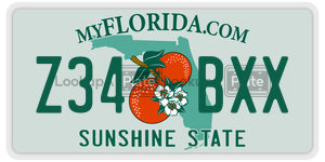 Z34BXX license plate in Florida