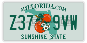 Z379VW  license plate in FL