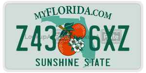 Z436XZ  license plate in FL