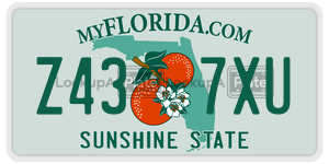 Z437XU  license plate in FL