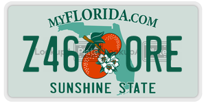 Z460RE  license plate in FL