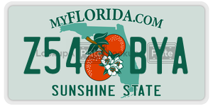 Z54BYA  license plate in FL
