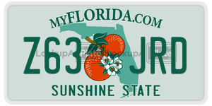 Z63JRD  license plate in FL