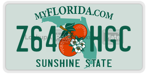 Z64HGC  license plate in FL