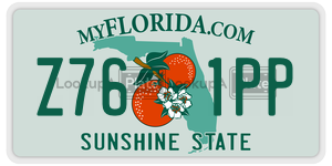 Z761PP  license plate in FL