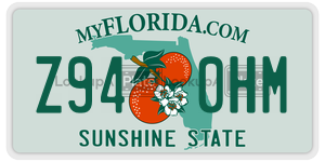 Z940HM  license plate in FL