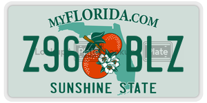 Z96BLZ  license plate in FL