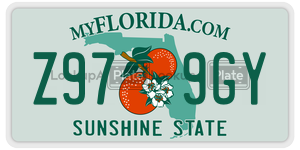 Z979GY license plate in Florida