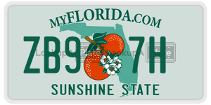 ZB97H license plate in Florida