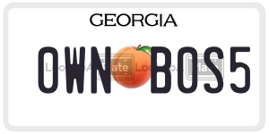 0WNB0S5  license plate in GA