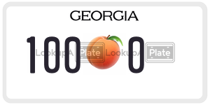 1000 license plate in Georgia