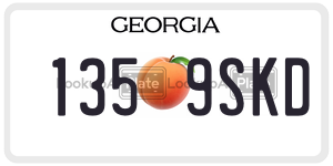 1359SKD  license plate in GA