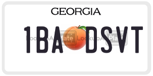 1BADSVT license plate in Georgia