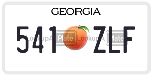 541ZLF license plate in Georgia