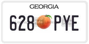 628PYE license plate in Georgia