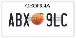 ABX9LC  license plate in GA