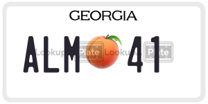 ALM41 license plate in Georgia