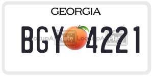 BGY4221  license plate in GA