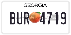 BUR4719  license plate in GA