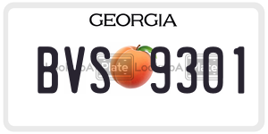 BVS9301  license plate in GA