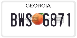 BWS6871  license plate in GA