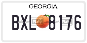 BXL8176 license plate in Georgia