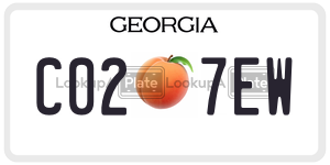 C027EW  license plate in GA