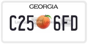 C256FD  license plate in GA