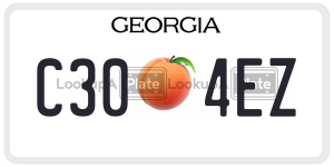 C304EZ  license plate in GA
