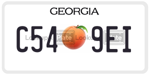 C549EI  license plate in GA