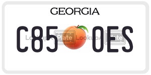 C850ES  license plate in GA