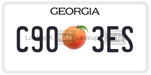 C903ES  license plate in GA