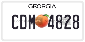 CDM4828  license plate in GA
