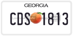 CDS1813 license plate in Georgia
