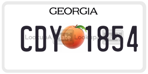 CDY1854  license plate in GA