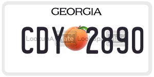 CDY2890 license plate in Georgia