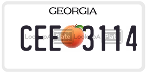 CEE3114  license plate in GA