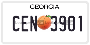 CEN3901 license plate in Georgia