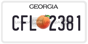 CFL2381  license plate in GA