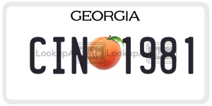 CIN1981 license plate in Georgia