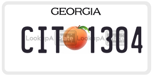 CIT1304 license plate in Georgia