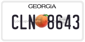 CLN8643 license plate in Georgia