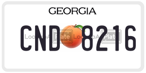 CND8216  license plate in GA