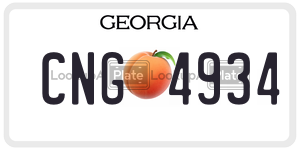 CNG4934  license plate in GA