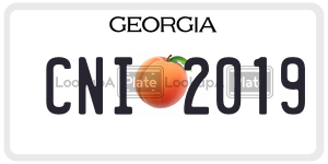 CNI2019  license plate in GA