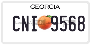 CNI9568  license plate in GA