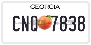 CNQ7838  license plate in GA