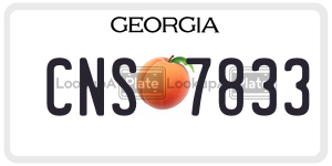 CNS7833  license plate in GA